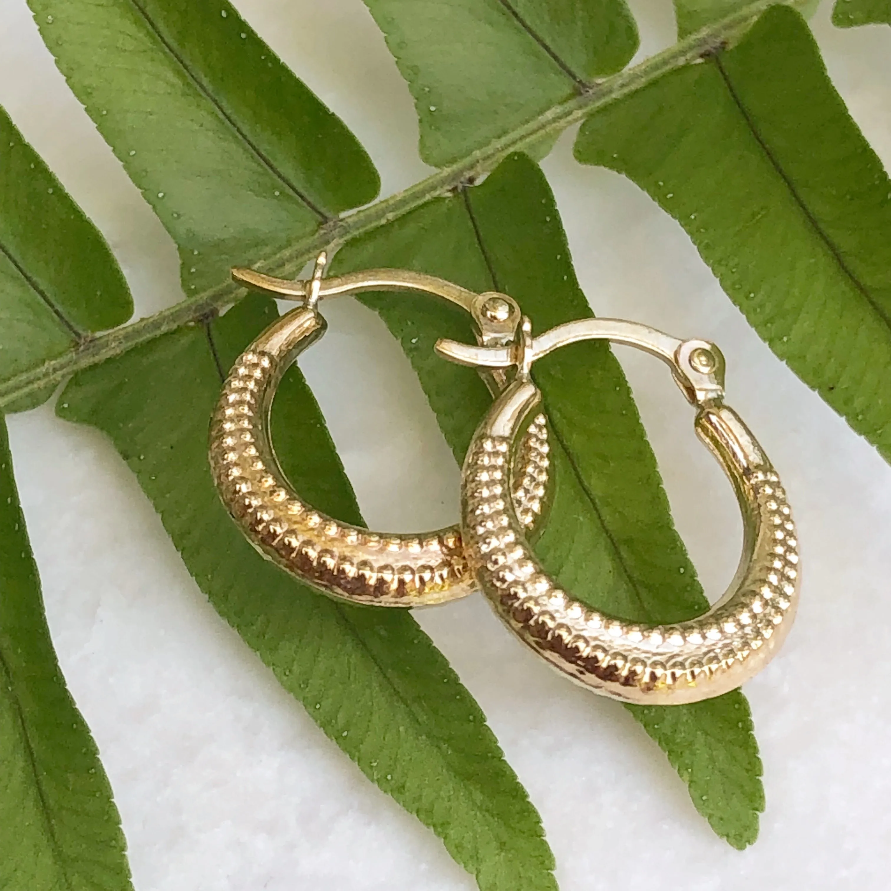 10KT Yellow Gold Scalloped Textured Hoop Earrings 15mm
