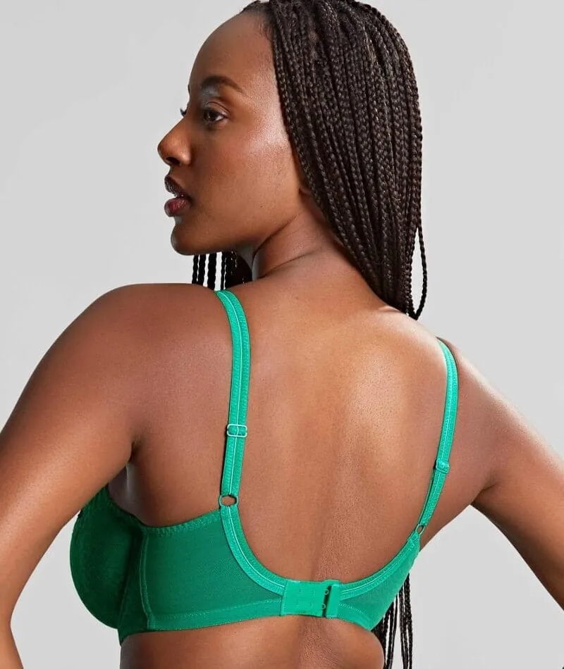 Panache Envy Full Cup Underwire Bra - Emerald Leopard