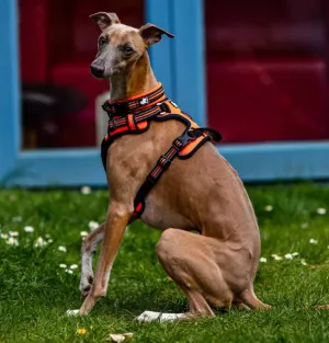 Truelove Dog Harness | True Love | TLH5651