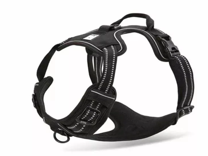 Truelove Dog Harness | True Love | TLH5651