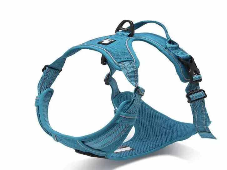 Truelove Dog Harness | True Love | TLH5651