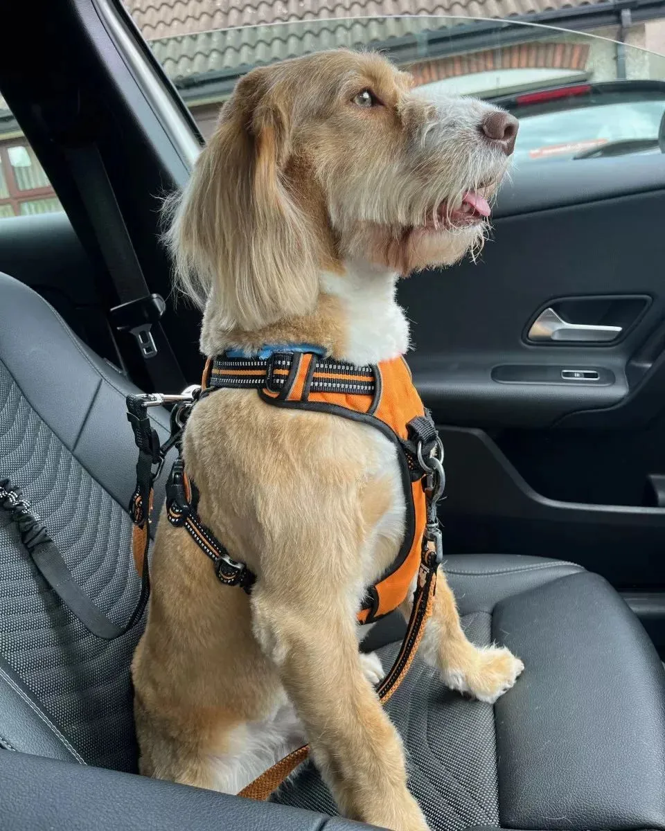 Truelove Dog Harness | True Love | TLH5651
