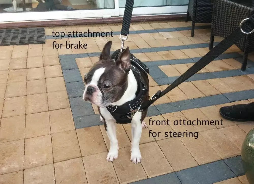 Truelove Dog Harness | True Love | TLH5651