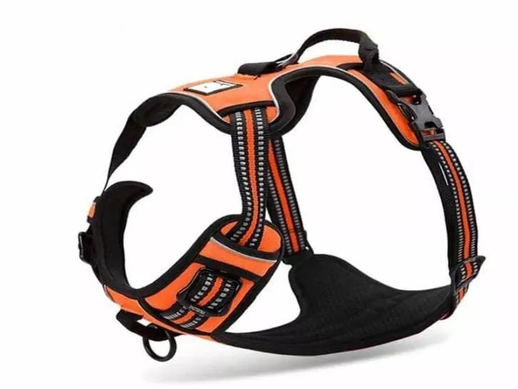 Truelove Dog Harness | True Love | TLH5651