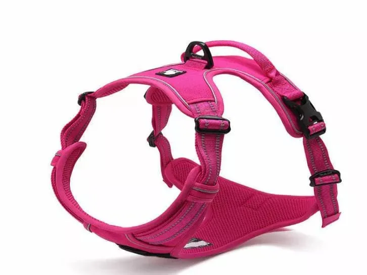 Truelove Dog Harness | True Love | TLH5651